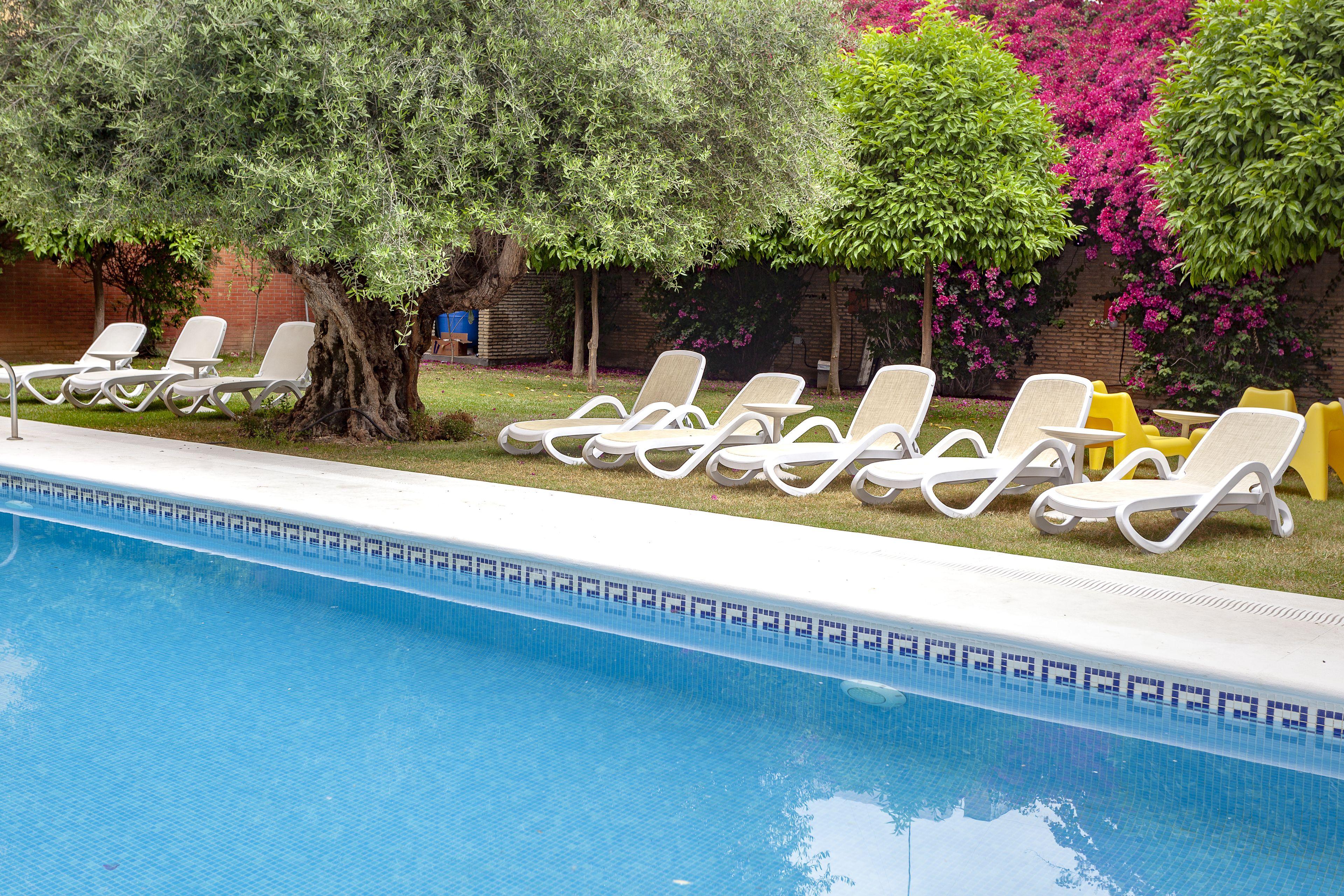 Aacr Hotel Monteolivos